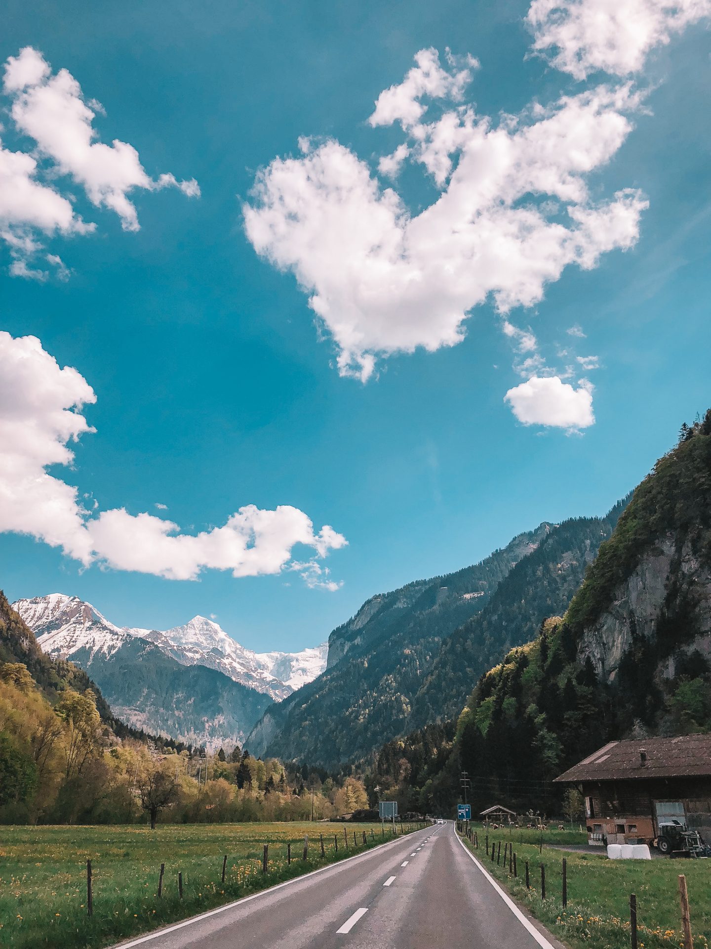 Driving through the Swiss Alps with gorgeous blue skies, green grass, and snow capped mountains.