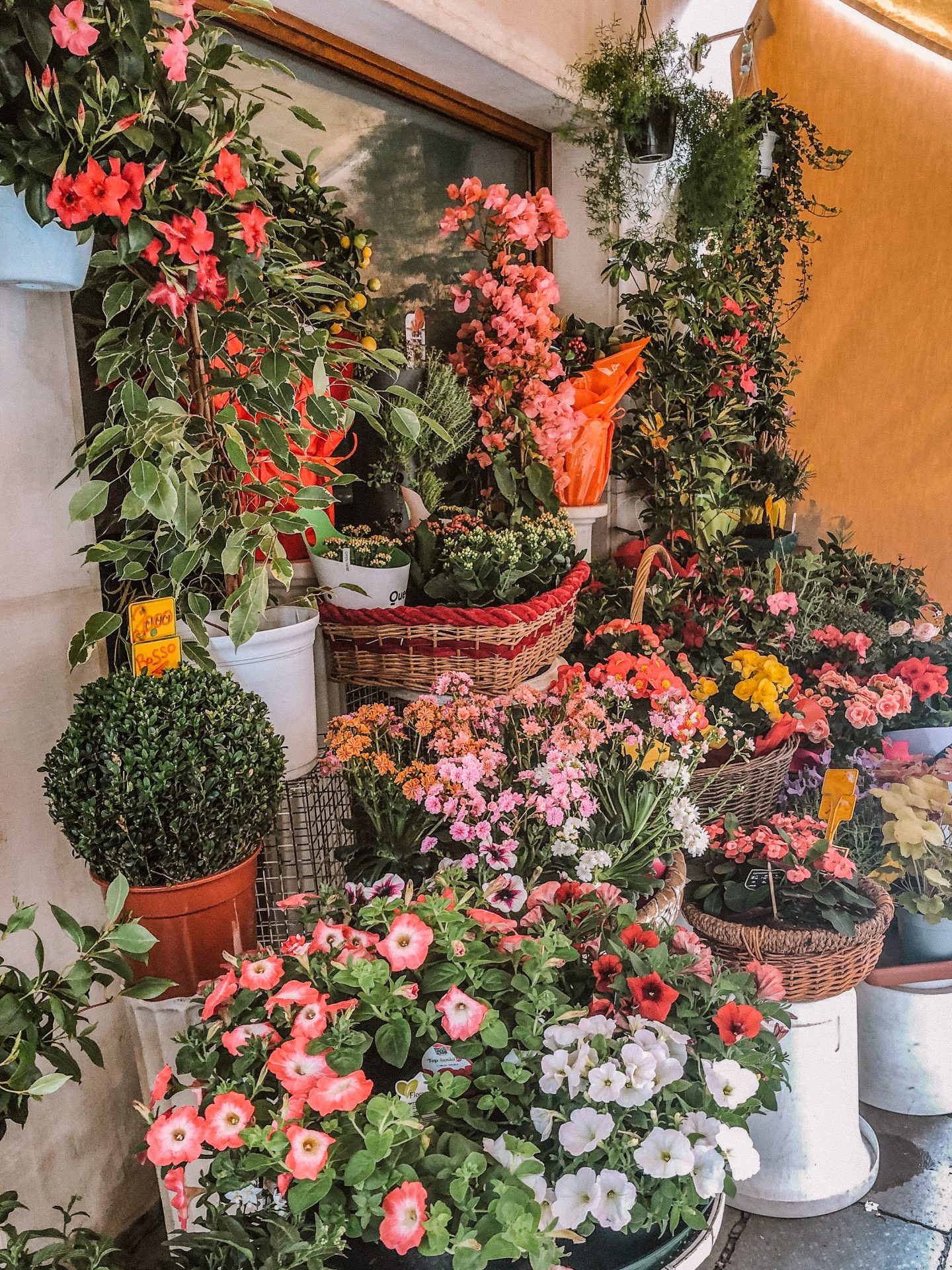 Flowers for sale on sidewalk from shop in Venice, Italy