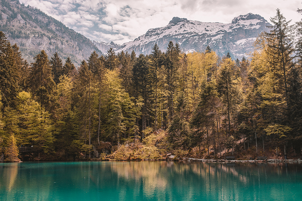 The stunning blue waters of Lake Blausee, Switzerland with the Swiss Alps in the background.