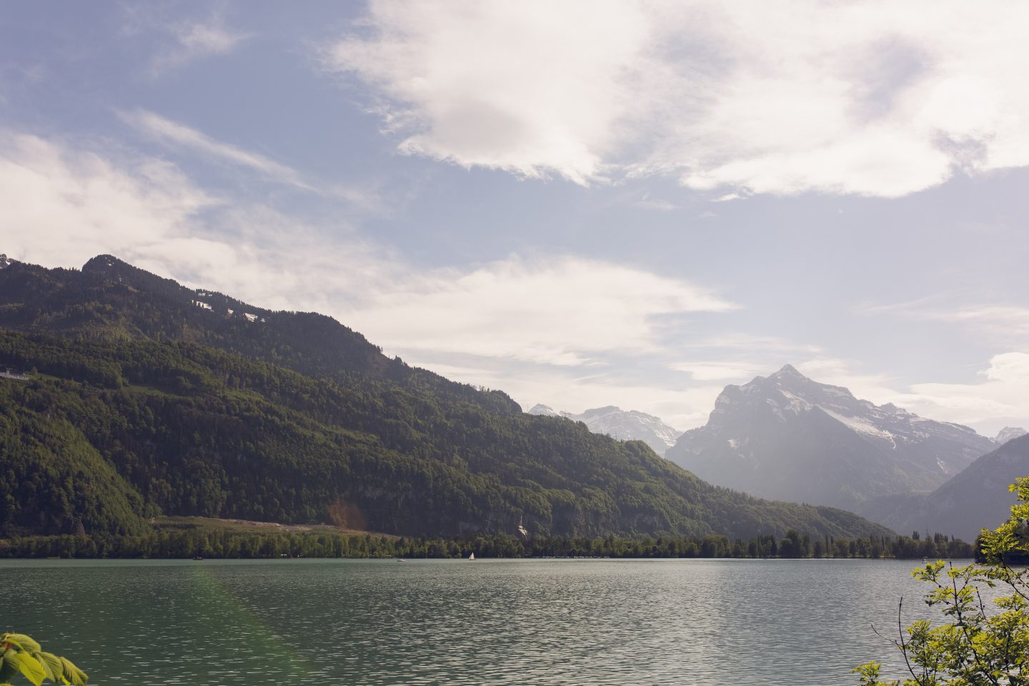 Admiring the Swiss Alps view across a Swiss lake.