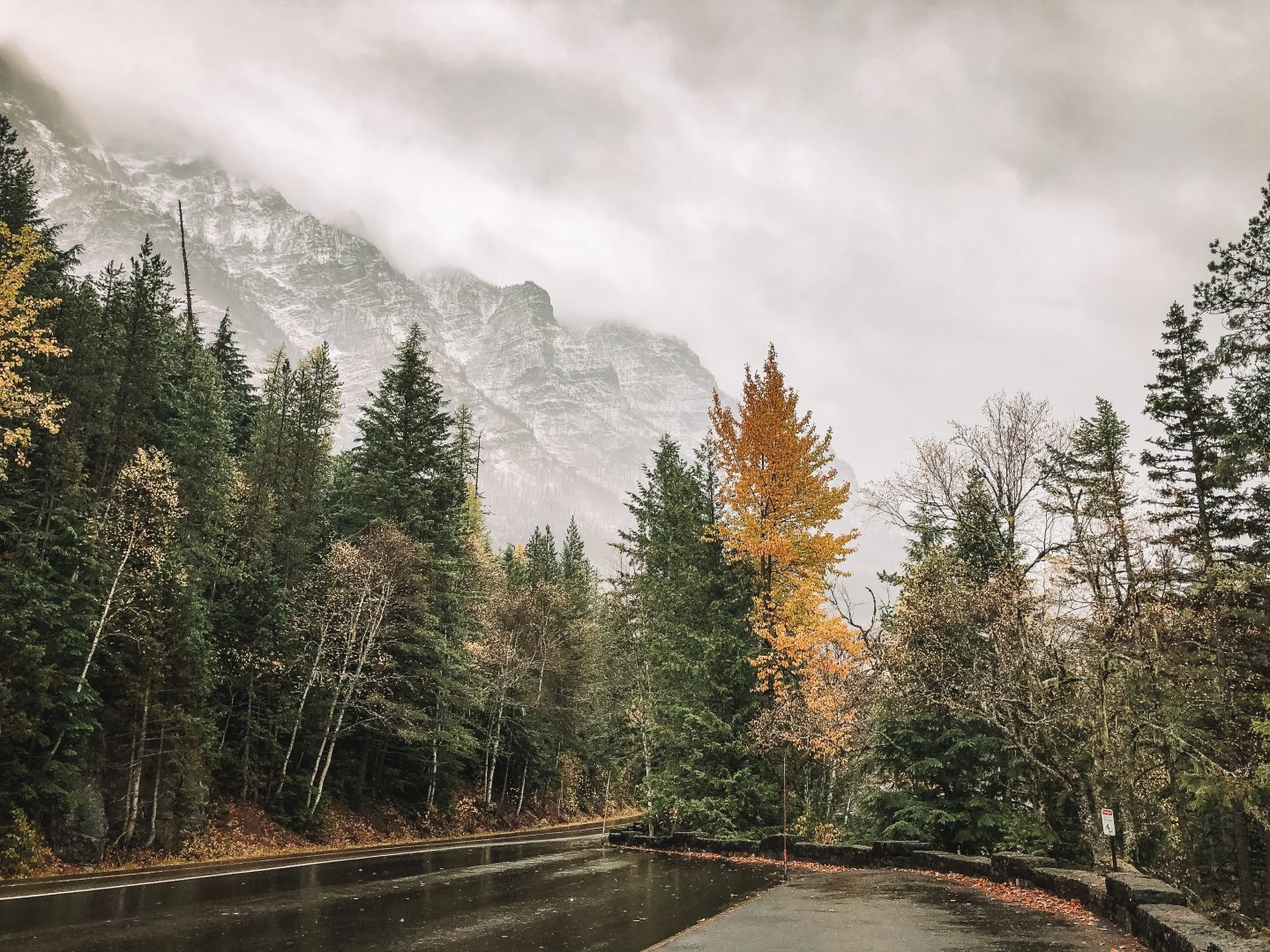 Glacier National Park in Montana is in my top 10 favorite beautiful places in the US to visit.