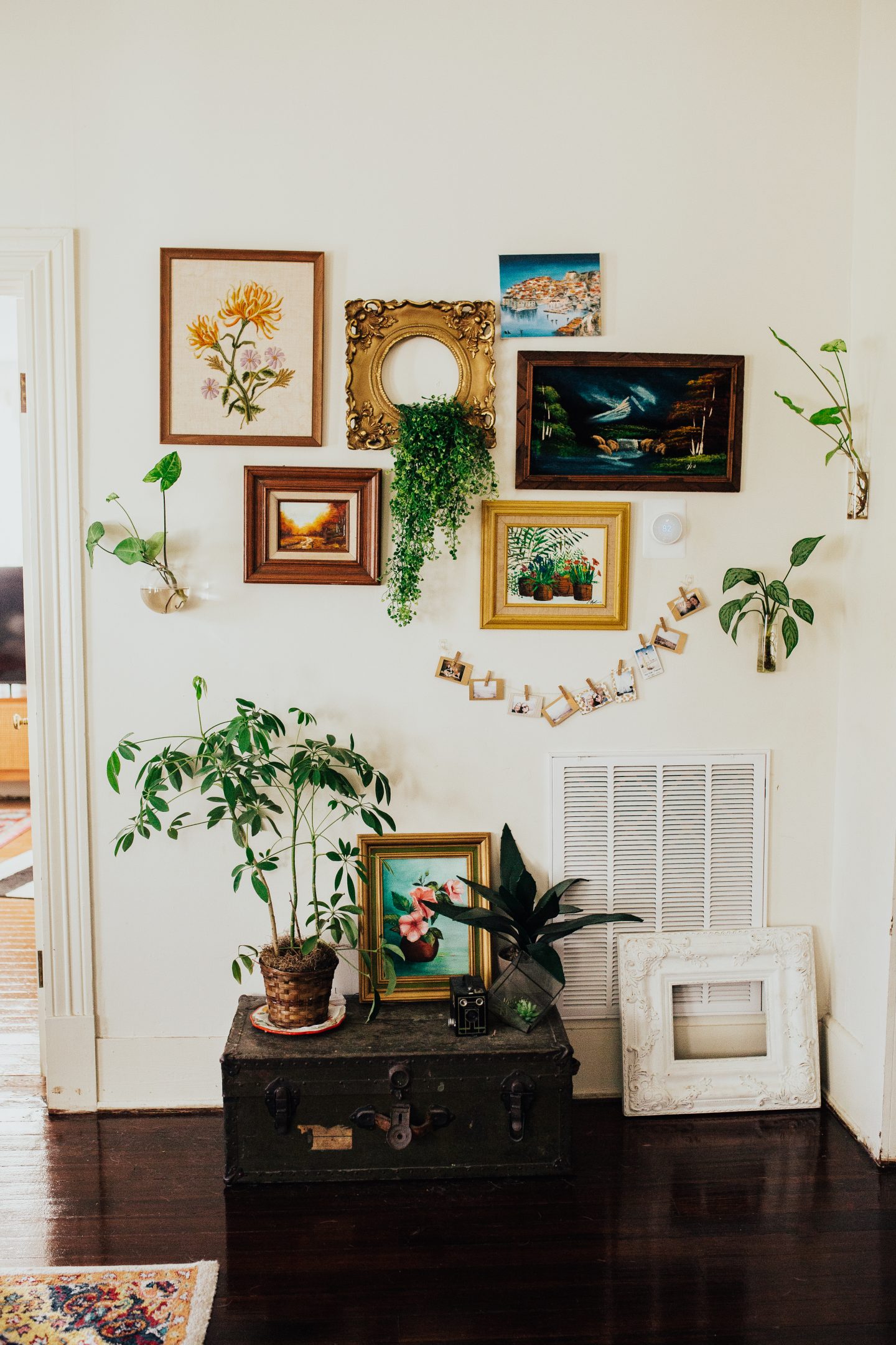 Want to have a jungalow vibe but worried about keeping your plants alive? Check out my top 5 indoor plants for beginners that are hard to kill even for those with the blackest of thumbs!