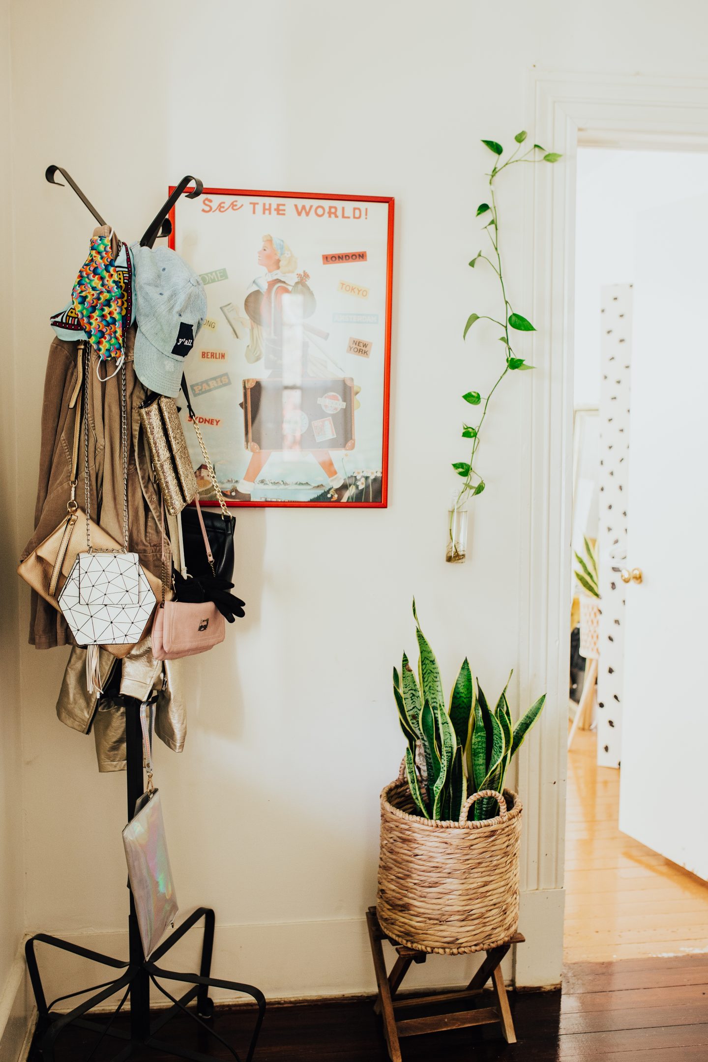 Want to have a jungalow vibe but worried about keeping your plants alive? Check out my top 5 indoor plants for beginners that are hard to kill even for those with the blackest of thumbs!