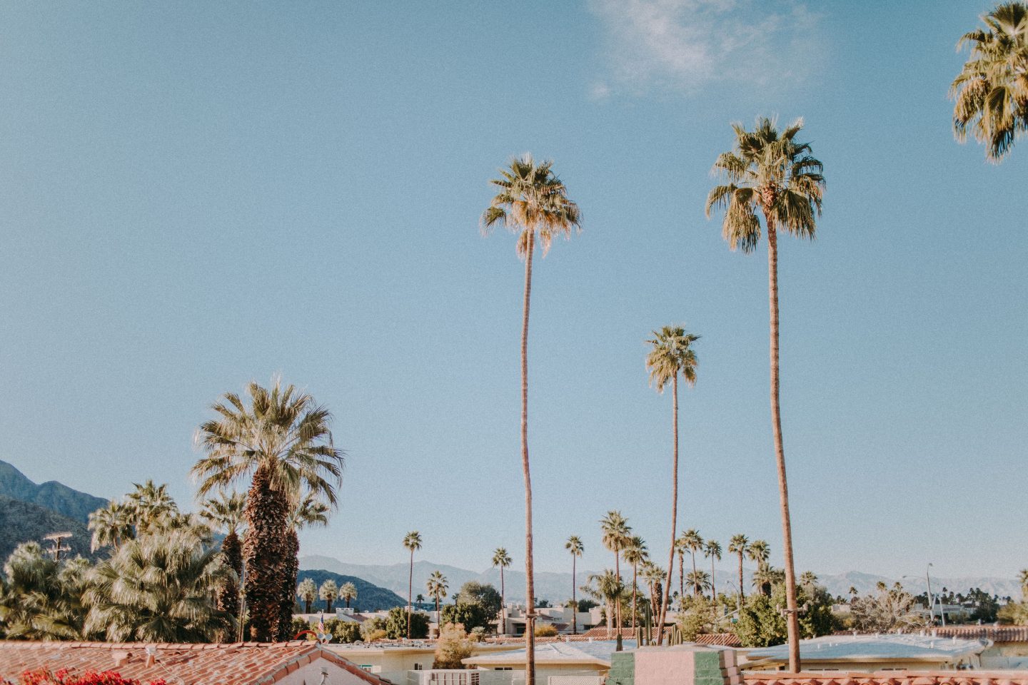 Joshua Tree National Park and Palm Springs, California are in my top 10 favorite beautiful places in the US to visit.