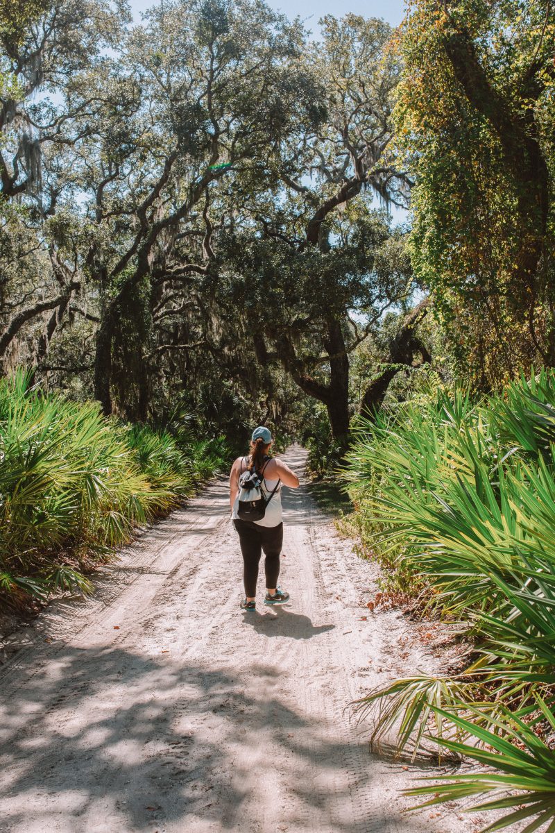 A guide to Cumberland Island National Seashore » at Home on Hudson