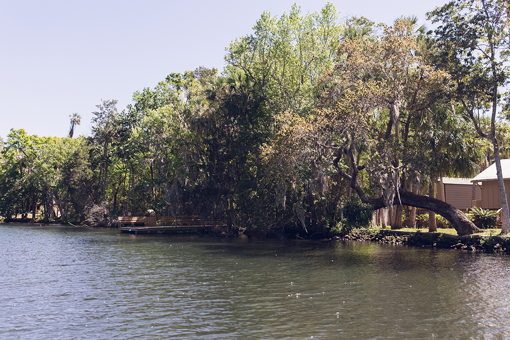 Have you ever wanted to go snorkeling with the manatees in Florida? Have you ever wanted to go snorkeling with the manatees with kids? Check out my tour recap with tips on snorkeling with the manatees! #CrystalRiver #Homosassa #SnorkelingWithManatees