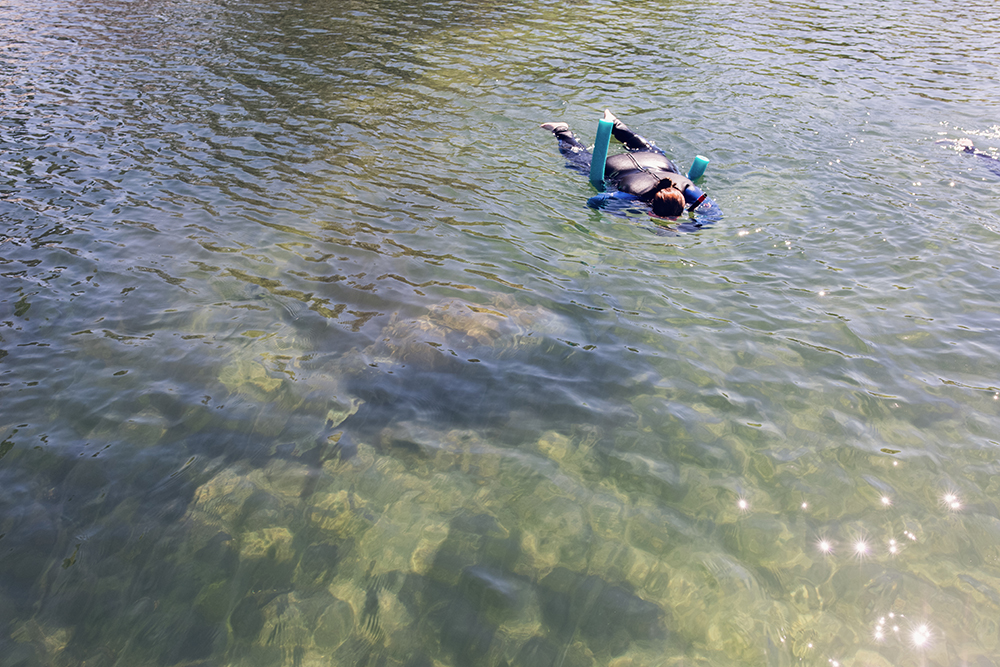 Have you ever wanted to go snorkeling with the manatees in Florida? Have you ever wanted to go snorkeling with the manatees with kids? Check out my tour recap with tips on snorkeling with the manatees! #CrystalRiver #Homosassa #SnorkelingWithManatees