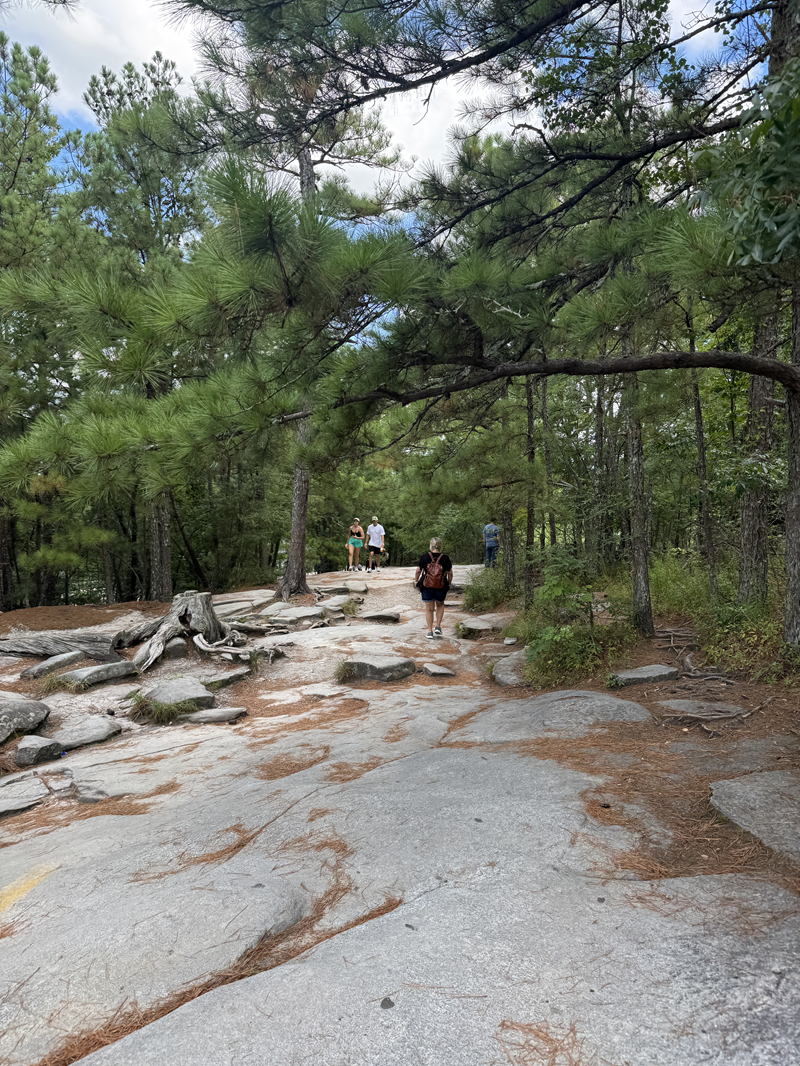 Hiking down Stone Mountain. Pine trees, rocks, and people hiking. Weekend Getaway to Stone Mountain